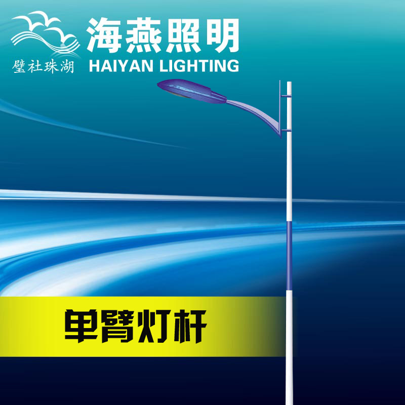 長(zhǎng)沙路燈廠家